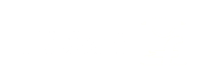 2a